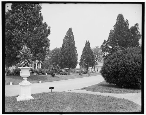 View in National Cemetery, Arlington, Va.