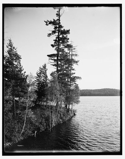 Lower St. Regis Lake, Adirondack Mts., N.Y.
