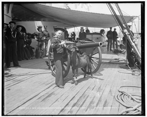 U.S.S. New York, Admiral Sampson's son and Pitch the mascot