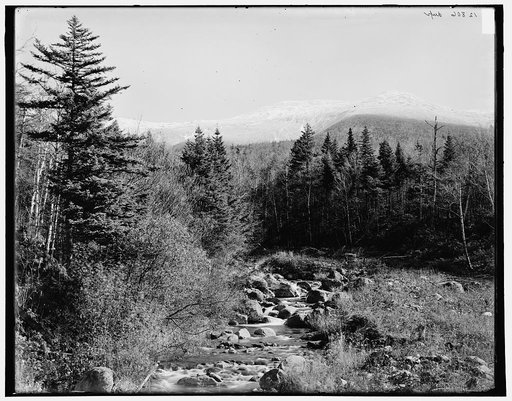 Ammonoosuc River and Mt. Monroe, Mount Pleasant, White Mountains