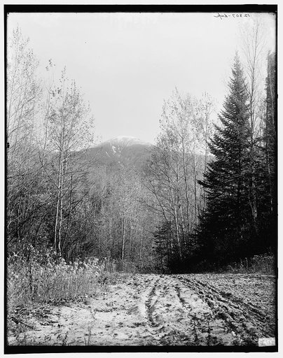 Mount Pleasant from base road, White Mountains