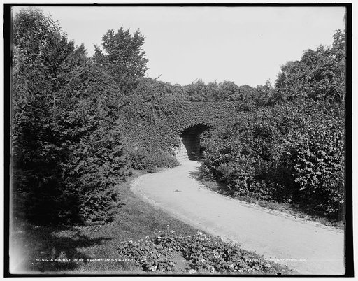 A Bridge in Delaware Park, Buffalo, N.Y.