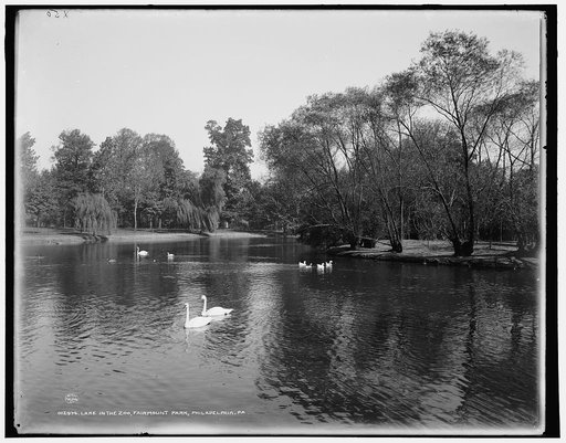 Lake in the zoo, Fairmount Park, Philadelphia, Pa.