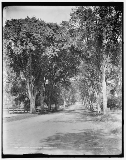 Approach to Middlesex Fells, Medford