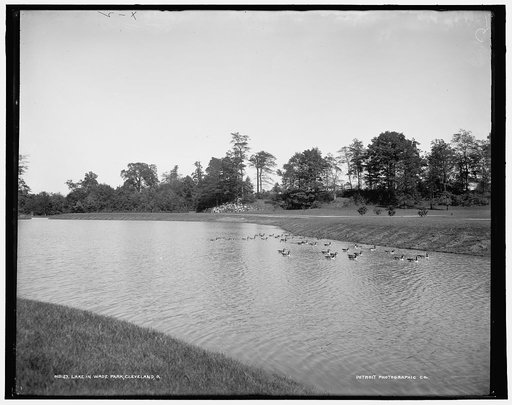 Lake in Wade Park, Cleveland, O[hio