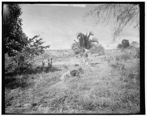 Towards Santiago de Cuba from San Juan Hill