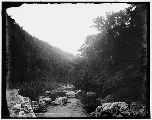 The Rio Cobre near Bog Walk, Spanish Town, Jamaica, W.I.