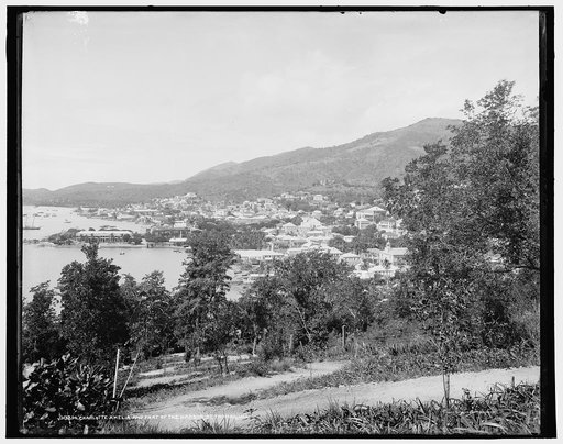 Charlotte Amelia [sic] and part of the harbor, St. Thomas, W.I.