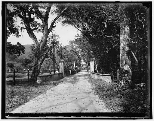 A Suburban residence, Port of Spain, Trinidad, W.I.