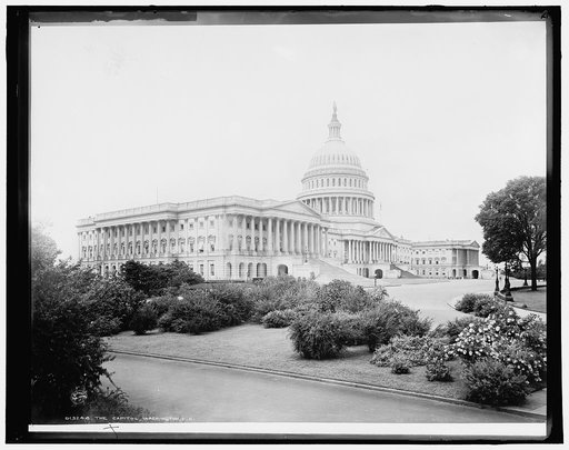 The Capitol, Washington, D.C.
