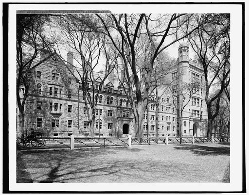 Welch and Phelps halls from campus, Yale College, Conn.