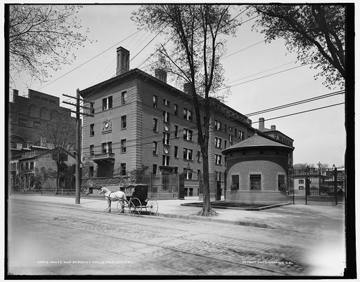 White and Berkeley Halls, Yale College