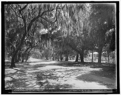 Ridgewood Ave., Daytona, Fla.