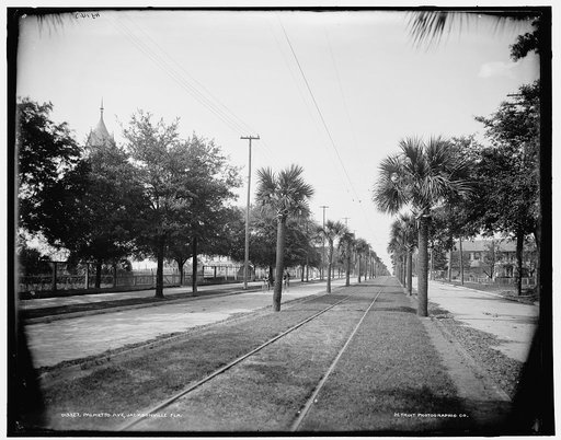 Palmetto Ave., Jacksonville, Fla.