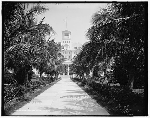 The Royal Poinciana, Palm Beach, Fla.