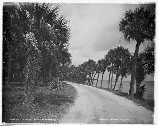 Road to Cocoa along Indian River, Rockledge, Fla.