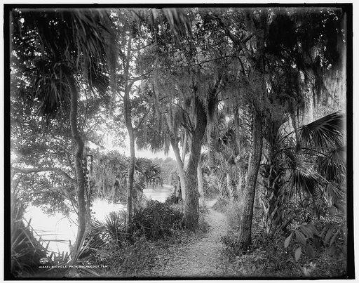 Bicycle path, Rockledge, Fla.