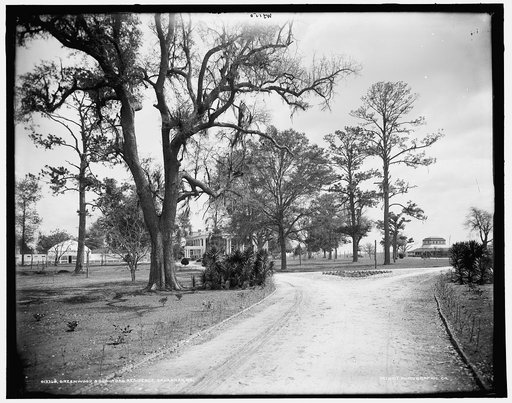 Greenwood, a suburban residence, Savannah, Ga.