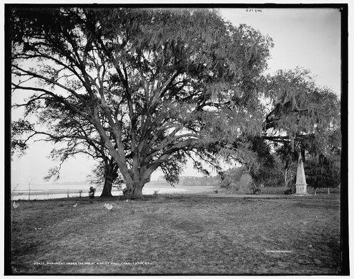 Monument under the oak at Ashley Hall, Charleston, S.C.