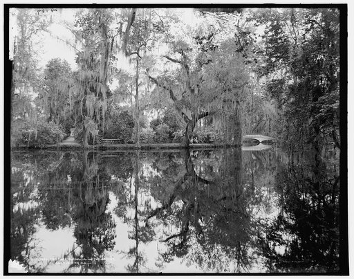 The lake, Magnolia-on-the-Ashley [i.e. Magnolia Gardens], Charleston, S.C.