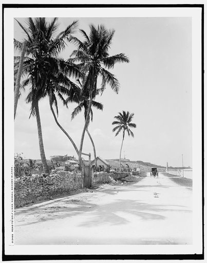 Road to golf links, Nassau, Bahama Islands