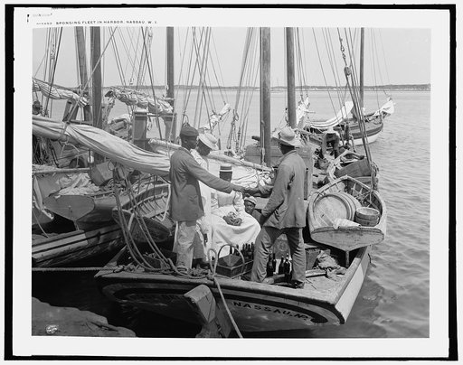 Sponging fleet in harbor, Nassau, W.I.