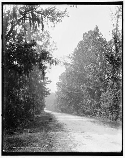 Bay Shell Road, Mobile, Ala.