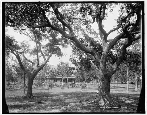 Elk lodge, Ocean Springs, Miss.
