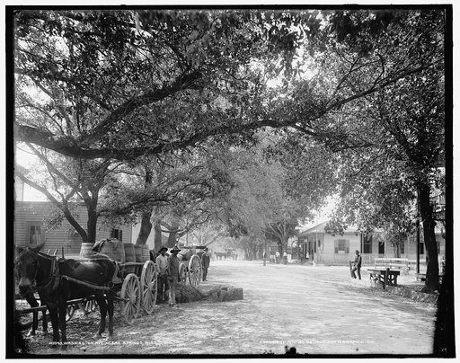 Washington Ave., Ocean Springs, Miss.