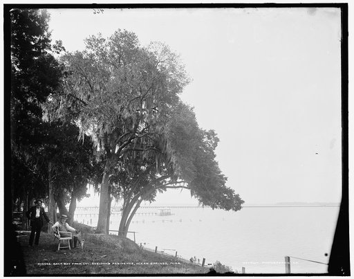 Back bay from Col. Sheldon's residence, Ocean Springs, Miss.