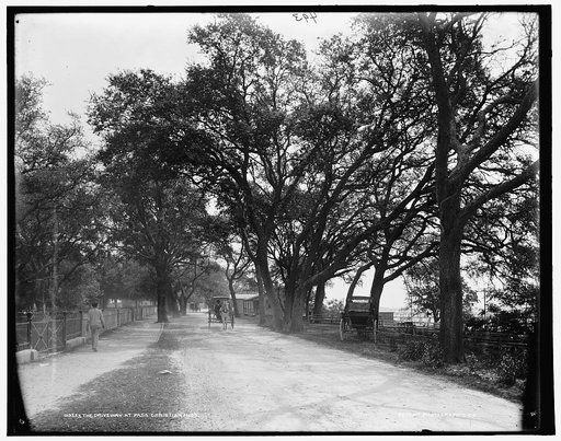 The Driveway at Pass Christian, Miss.