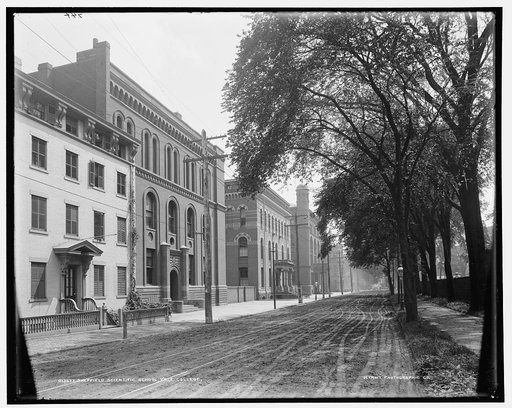 Sheffield Scientific School, Yale College