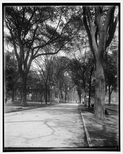 Temple Street, New Haven