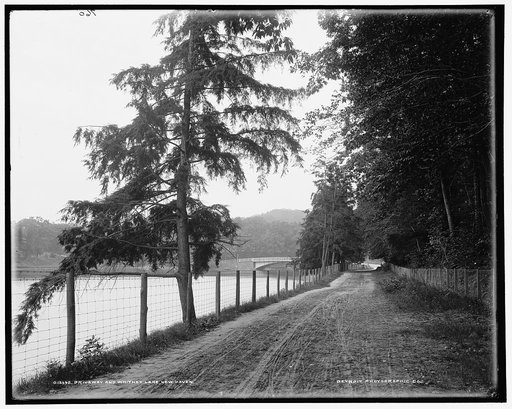Driveway and Whitney Lake, New Haven