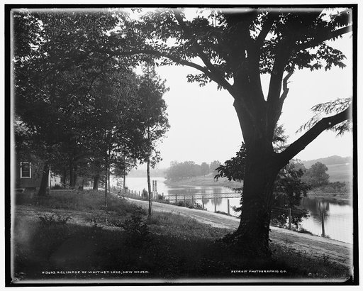 A Glimpse of Whitney Lake, New Haven