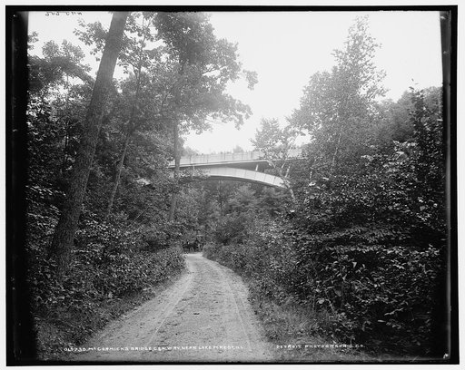 McCormick's bridge, C. & N.W. Ry. [i.e. Chicago & North Western Railway], near Lake Forest, Ill.