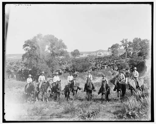 A group of Texas cowboys