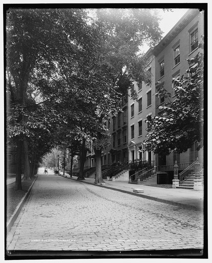 Elk Street, Albany, N.Y.