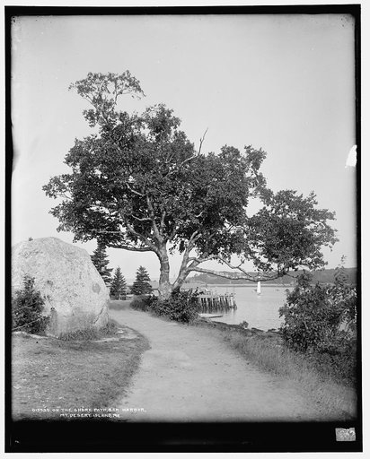 On the shore path, Bar Harbor, Mt. [i.e. Mount] Desert Island, Me.