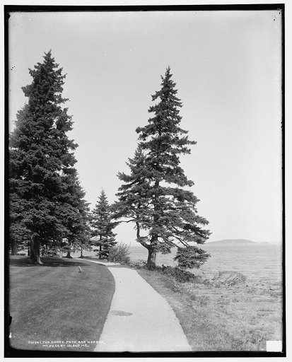 The Shore path, Bar Harbor, Mt. [i.e. Mount] Desert Island, Me.