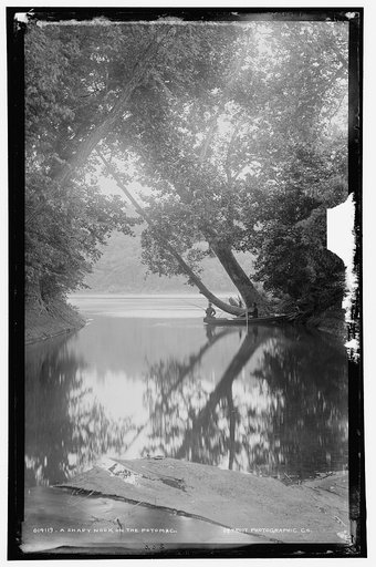 A shady nook on the Potomac