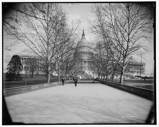 The Capitol at Washington