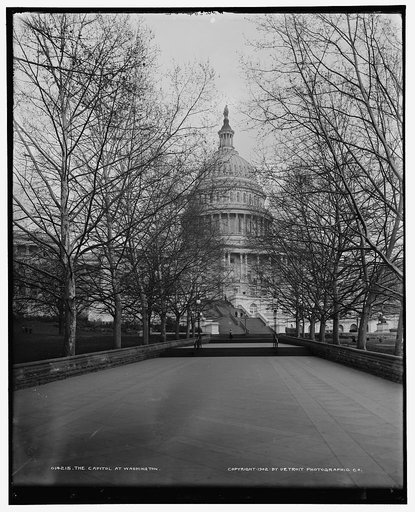 The Capitol at Washington