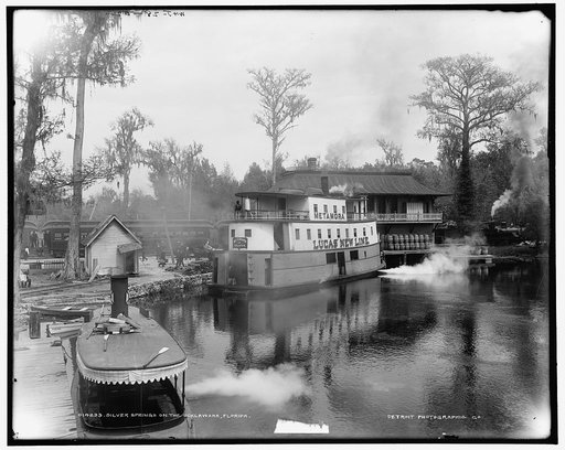 Silver Springs on the Ocklawaha [sic], Florida