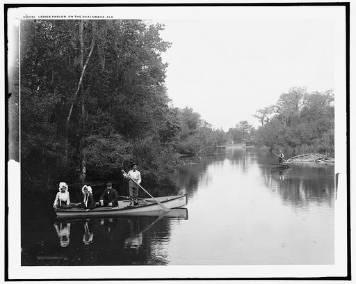 Ladies parlor on the Ocklawaha [sic], Fla.