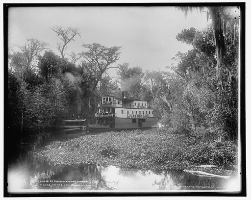 On the Ocklawaha [sic], Florida