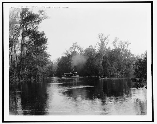 Junction of the Ocklawaha [sic] and Silver Springs Rivers, Fla.