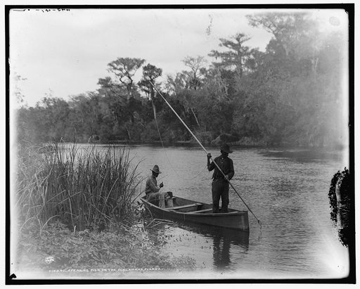 Spearing fish on the Ocklawaha [sic], Florida