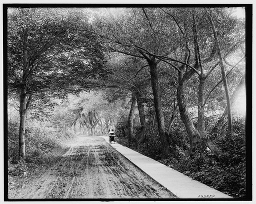 Under the willows, Rye Beach, N.H.