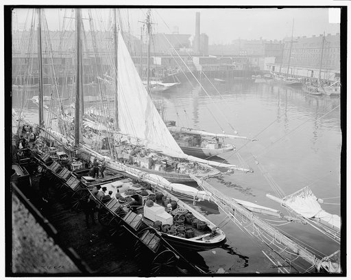Unloading fish at "T" wharf, Boston, Mass.